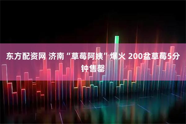 东方配资网 济南“草莓阿姨”爆火 200盆草莓5分钟售罄